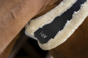 Popręg anatomiczny z futrem Norton XTR