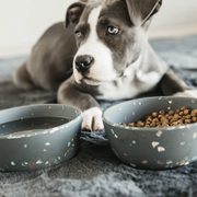 Miska dla psa Kentucky Dogwear Bamboo Terrazzo