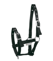 Kantar dla źrebaka Waldhausen Triple