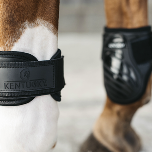 Ochraniacze tylne Kentucky Horsewear Young Horse TPU