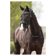 Ogłowie anatomiczne z lakierowanym nachrapnikiem szwedzkim ANKY® Comfort Fit Anatomical