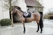 Czaprak wszechstronny Kentucky Horsewear Velvet Basic