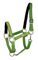 Kantar API Active Horses