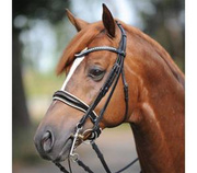 Ogłowie munsztukowe ze szwedzkim nachrapnikiem Kavalkade Antonia
