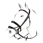 Ogłowie z podwójnym nachrapnikiem Equestro Combined