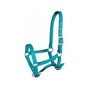 Kantar źrebięcy York Tobi