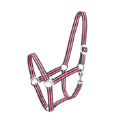 Kantar Start Economic