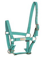 Kantar dla źrebaka API Baby