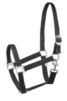 Kantar Start Economic