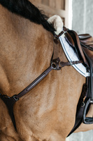 Napierśnik pięciopunktowy Dy'on New English Collection NE06F