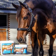 Suplement weterynaryjny dla koni z chorobą wrzodową NAF GastriVet