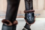 Ochraniacze tylne z futrem Kentucky Horsewear Young Horse TPU