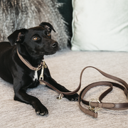 Smycz dla psa Kentucky Dogwear Velvet Leather - 200 cm