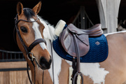 Czaprak wszechstronny Kentucky Horsewear Velvet Skin Friendly