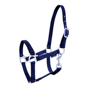 Kantar źrebięcy York