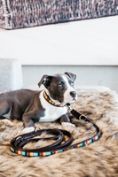 Obroża dla psa Kentucky Dogwear Pearls