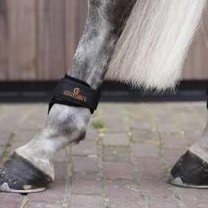 Ochraniacze tylne Kentucky Horsewear Young Horse 