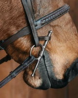 Stabilizator wędzidła z wąsami Fager Bit Keepers