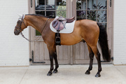 Czaprak wszechstronny Kentucky Horsewear Diamond Rope