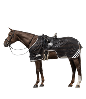 Derka siatkowa do jazdy Waldhausen Reflex