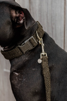 Smycz dla psa Kentucky Dogwear Teddy - 120 cm