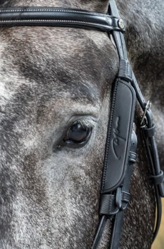 Zaślepki Dy'on Blinkers AB99K