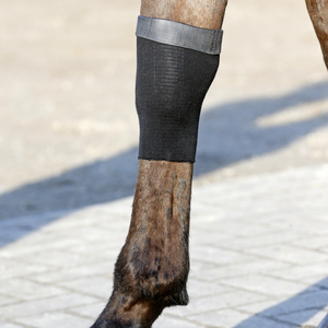 Skarpeta Kentucky Horsewear Tendon Grip GEL Sock