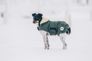 Derka dla psa Kentucky Dogwear Waterproof 300g