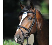 Ogłowie z nachrapnikiem kombinowanym Kavalkade Lorenz