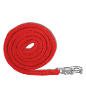 Uwiąz z bezpiecznym karabinkiem Waldhausen Economic