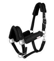 Kantar Waldhausen Sparkle