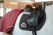 Czaprak skokowy Veredus Saddlecloth Microfiber Jumping