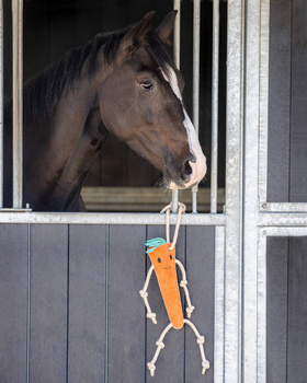 Zabawka do boksu QHP Horse Toy