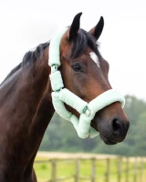 Kantar z futrem QHP Alaska