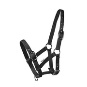 Kantar dla źrebaka Start