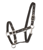 Kantar Waldhausen Little Horse