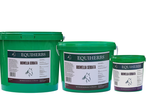 Boswellia Serrata Equiherbs 