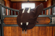 Pokrowiec na siodło ujeżdżeniowy Kentucky Horsewear Waterproof