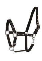 Kantar API Active Horses