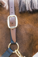 Wymienny pasek potyliczny do kantara Kentucky Horsewear Breakaway