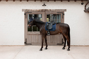 Czaprak ujeżdżeniowy Kentucky Horsewear Sparkling