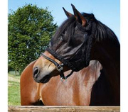 Maska przeciw owadom bez ochrony na uszy Kavalkade