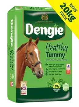 Sieczka dla koni z problemami gastrycznymi Dengie Healthy Tummy 20kg