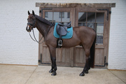 Czaprak ujeżdżeniowy Kentucky Horsewear Melange