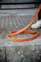 Smycz dla psa Kentucky Dogwear Velvet - 120 cm