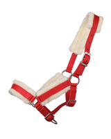 Kantar źrebięcy z futrem QHP