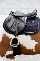 Czaprak wszechstronny Kentucky Horsewear Glitter Band