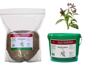 Miodunka EQUIHERBS 