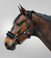 Kantar z futrem Waldhausen First