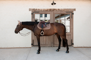 Czaprak wszechstronny Kentucky Horsewear Velvet
